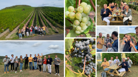 Towards entry "In vino veritas – Practical Seminar at Local Franconian Winery"