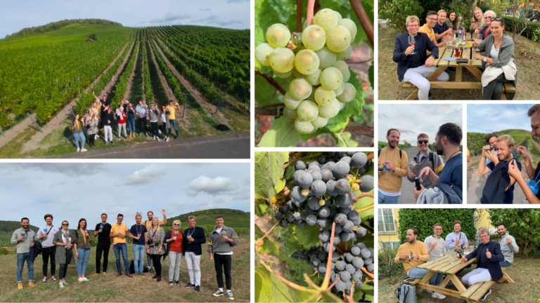 In vino veritas – Practical Seminar at Local Franconian Winery