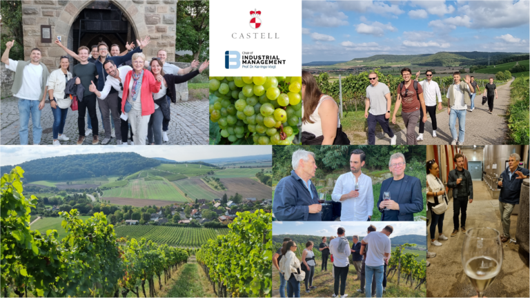 Taking a Deep Dive into the Franconian Wine-Making Industry with Graf Wolfgang zu Castell-Castell